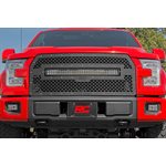 Mesh Grille | 30" Dual Row LED | Black | Ford F-150 2WD / 4WD (2015-2017)