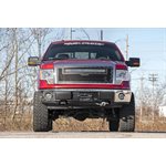 Mesh Grille | 30" Dual Row LED | Black | White DRL | Ford F-150 (09-14)