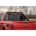 FORD SPORT BAR (04-18 F-150)